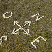 ZUR cabanobscura-105687